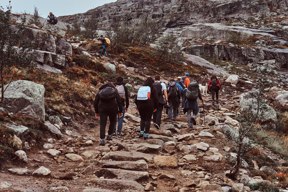 Which Netravali Trek Should You Choose? A Complete Guide for Beginners