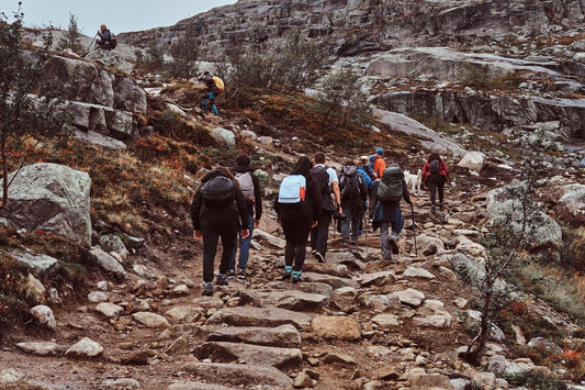 Which Netravali Trek Should You Choose? A Complete Guide for Beginners